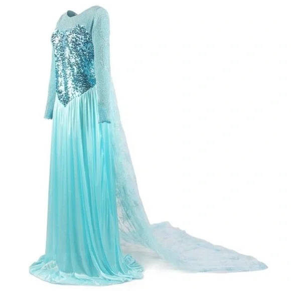 Adult Elsa Frozen Dress Costume - Picture 2 of 11